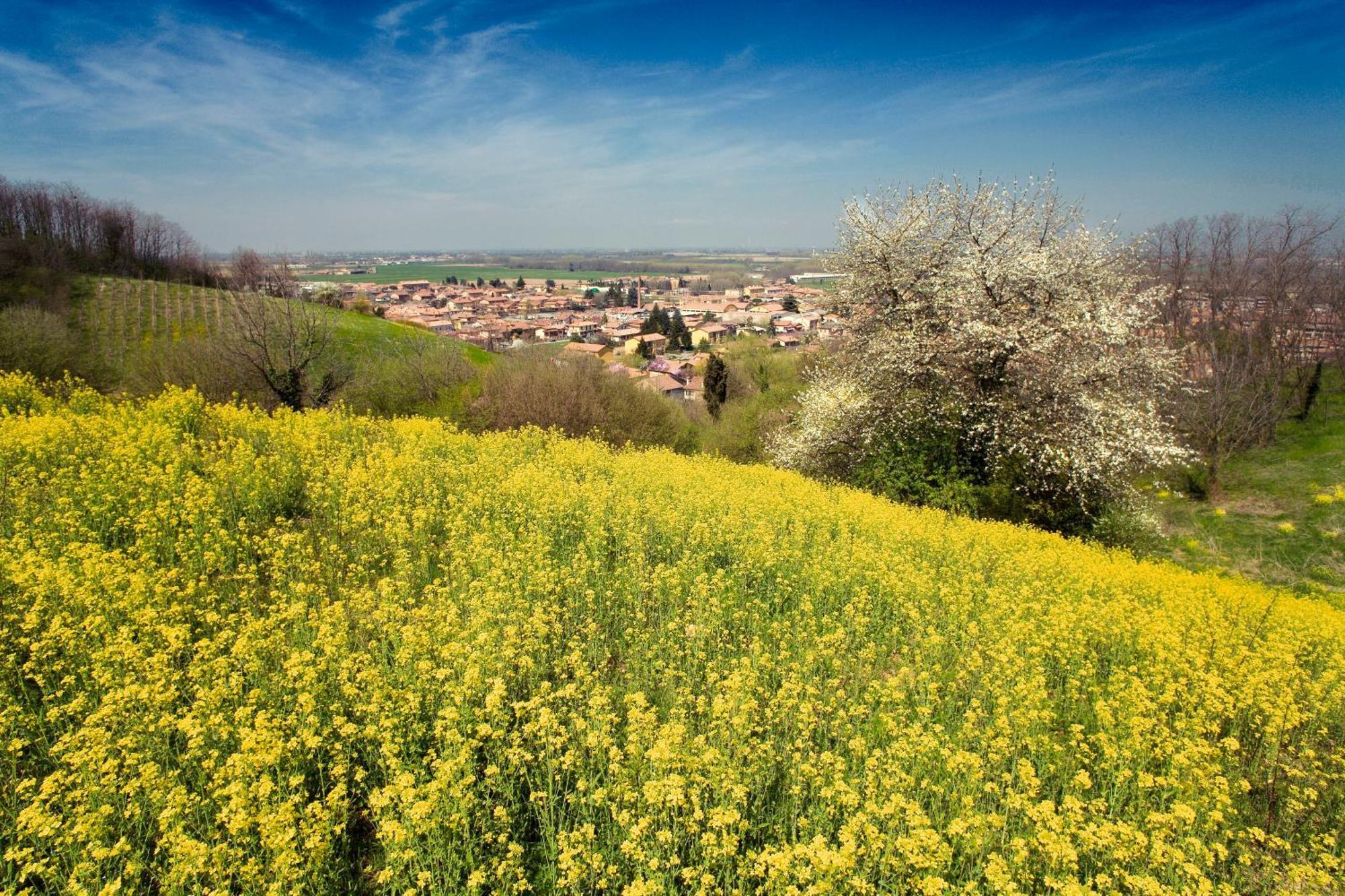 Bed & Breakfast Sforza 19 San Colombano al Lambro Exterior foto